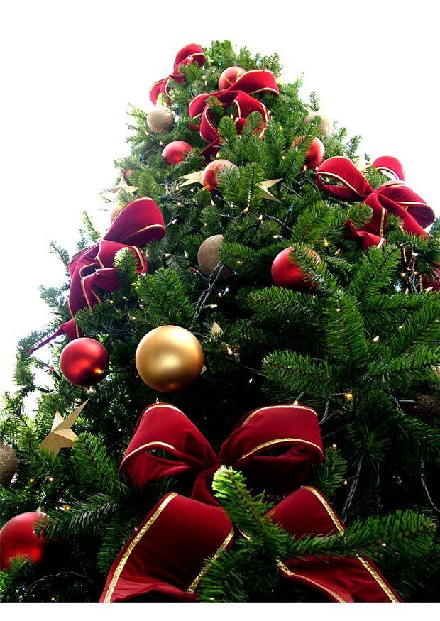 Foto Arbol de navidad